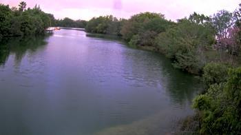 Weather camera view of Zoo Miami.