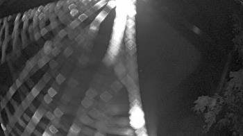 Weather camera view of Zoo Miami.