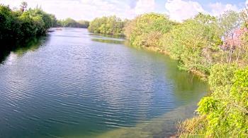 Weather camera view of Zoo Miami.