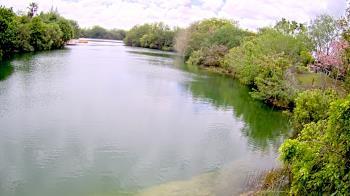 Weather camera view of Zoo Miami.