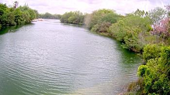 Weather camera view of Zoo Miami.