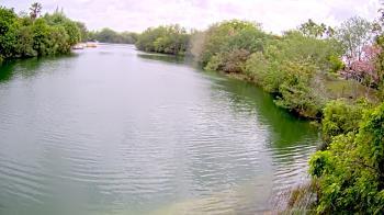 Weather camera view of Zoo Miami.