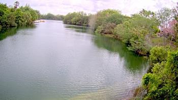 Weather camera view of Zoo Miami.