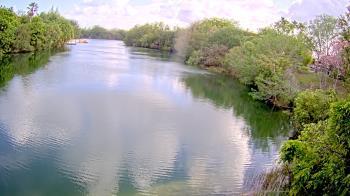 Weather camera view of Zoo Miami.