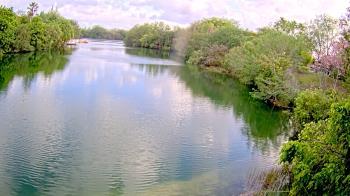 Weather camera view of Zoo Miami.