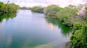 Weather camera view of Zoo Miami.