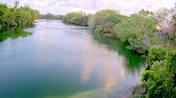 Weather camera view of Zoo Miami.