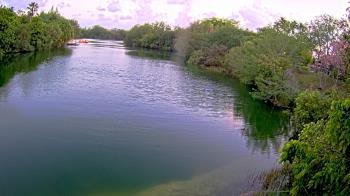 Weather camera view of Zoo Miami.