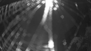 Weather camera view of Zoo Miami.