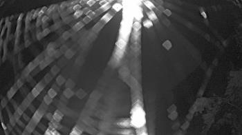 Weather camera view of Zoo Miami.