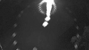 Weather camera view of Zoo Miami.