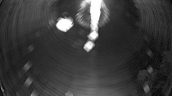 Weather camera view of Zoo Miami.