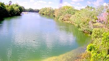 Weather camera view of Zoo Miami.