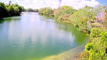 Weather camera view of Zoo Miami.