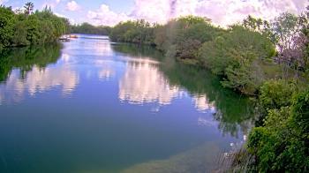 Weather camera view of Zoo Miami.