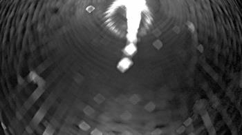 Weather camera view of Zoo Miami.