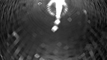 Weather camera view of Zoo Miami.