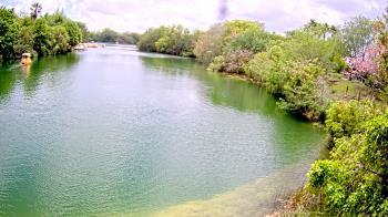 Weather camera view of Zoo Miami.