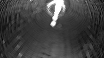 Weather camera view of Zoo Miami.