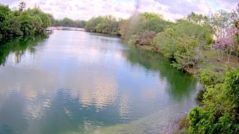 Weather camera view of Zoo Miami.