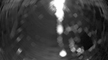 Weather camera view of Zoo Miami.