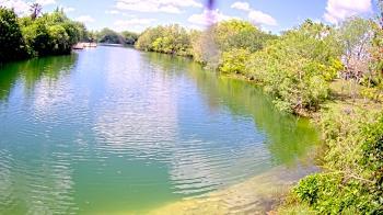 Weather camera view of Zoo Miami.