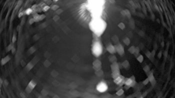 Weather camera view of Zoo Miami.