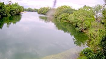 Weather camera view of Zoo Miami.
