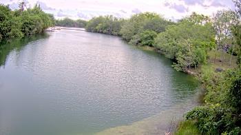 Weather camera view of Zoo Miami.