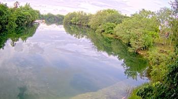 Weather camera view of Zoo Miami.