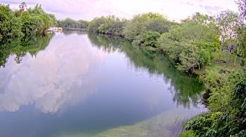 Weather camera view of Zoo Miami.