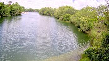 Weather camera view of Zoo Miami.