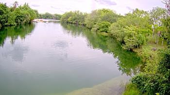 Weather camera view of Zoo Miami.