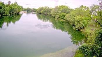 Weather camera view of Zoo Miami.