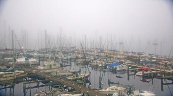 Weather camera view of Mandarin Holiday Marina.