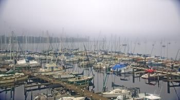 Weather camera view of Mandarin Holiday Marina.