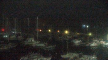 Weather camera view of Mandarin Holiday Marina.