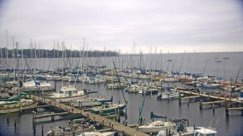 Weather camera view of Mandarin Holiday Marina.