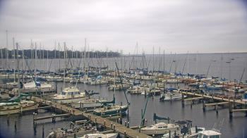 Weather camera view of Mandarin Holiday Marina.
