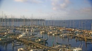 Weather camera view of Mandarin Holiday Marina.