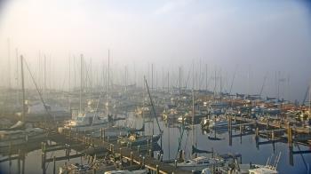 Weather camera view of Mandarin Holiday Marina.