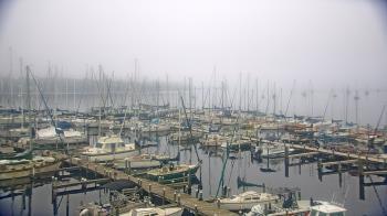 Weather camera view of Mandarin Holiday Marina.