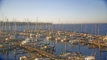 Weather camera view of Mandarin Holiday Marina.