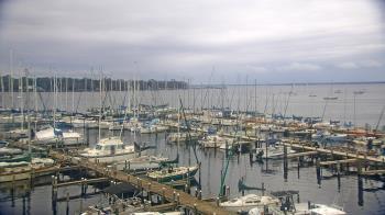 Weather camera view of Mandarin Holiday Marina.