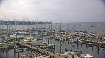 Weather camera view of Mandarin Holiday Marina.