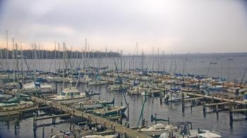 Weather camera view of Mandarin Holiday Marina.