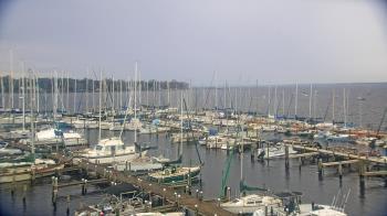 Weather camera view of Mandarin Holiday Marina.