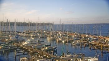 Weather camera view of Mandarin Holiday Marina.