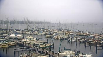 Weather camera view of Mandarin Holiday Marina.