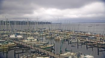 Weather camera view of Mandarin Holiday Marina.
